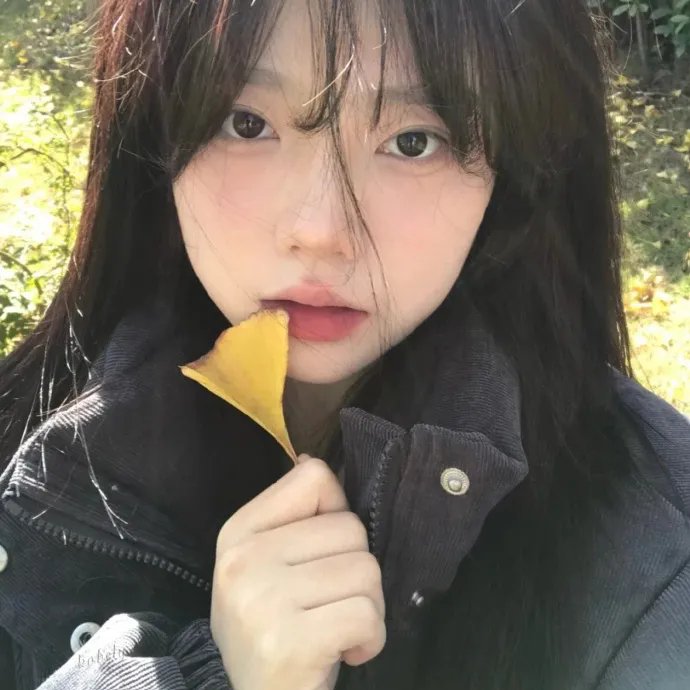 慈母贤妻不识婿